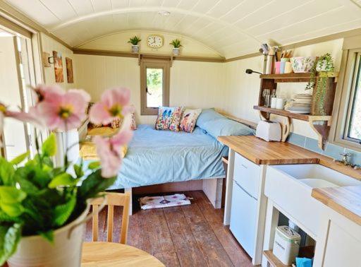 Farm stay Pen Bryn Shepherd Hut *